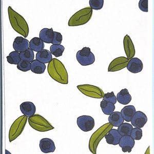 Blueberry Greeting Card